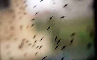 West Nile virus toll rises to 25
