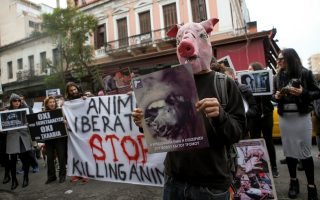 Animal rights group holds protest at Athens meat market