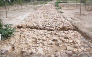 Ancient carriage road discovered in Vouliagmeni