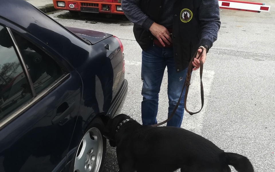 Police dog leads to arrest of Thessaloniki man over drugs