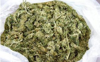 police-seize-1-1-tons-of-cannabis-in-trailer-from-albania