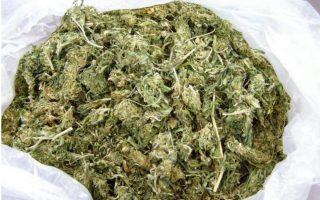 Man found carrying over 100 kilos of cannabis arrested