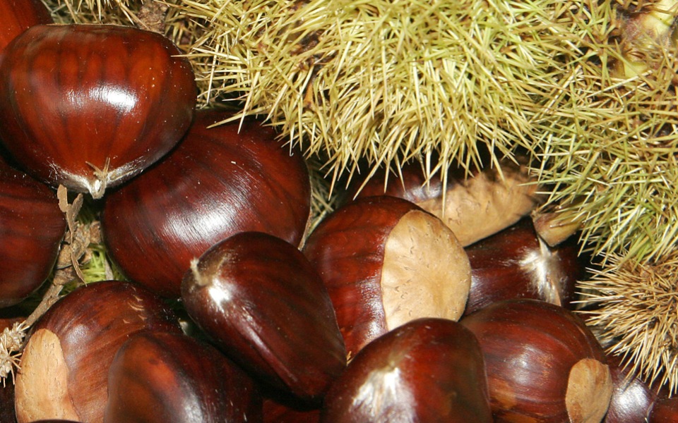 Greek chestnut seller convicted over lack of license