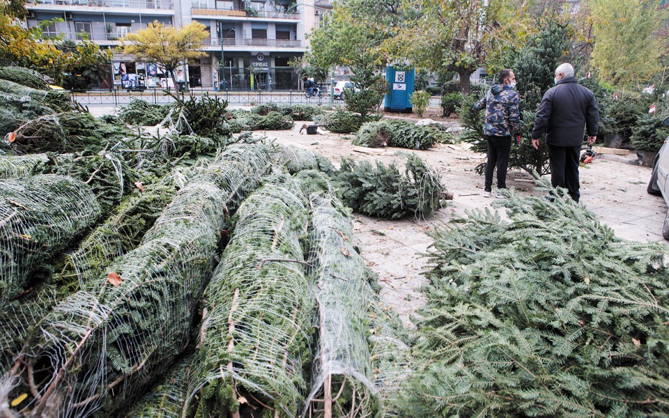 Christmas trees await a home while growers fret