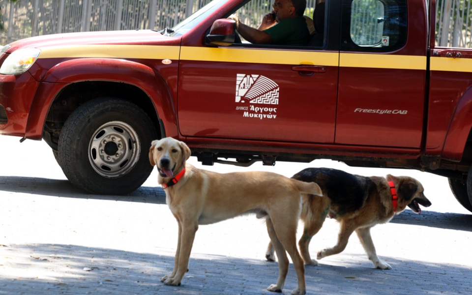 Argos running program to control and protect strays