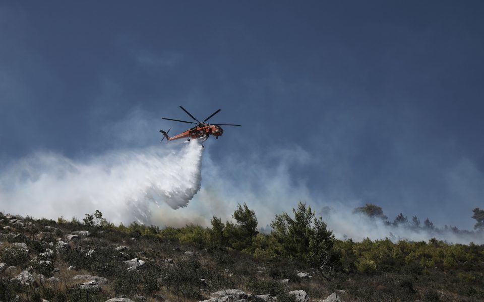 National park wildfire in northern Greece being stoked by strong winds
