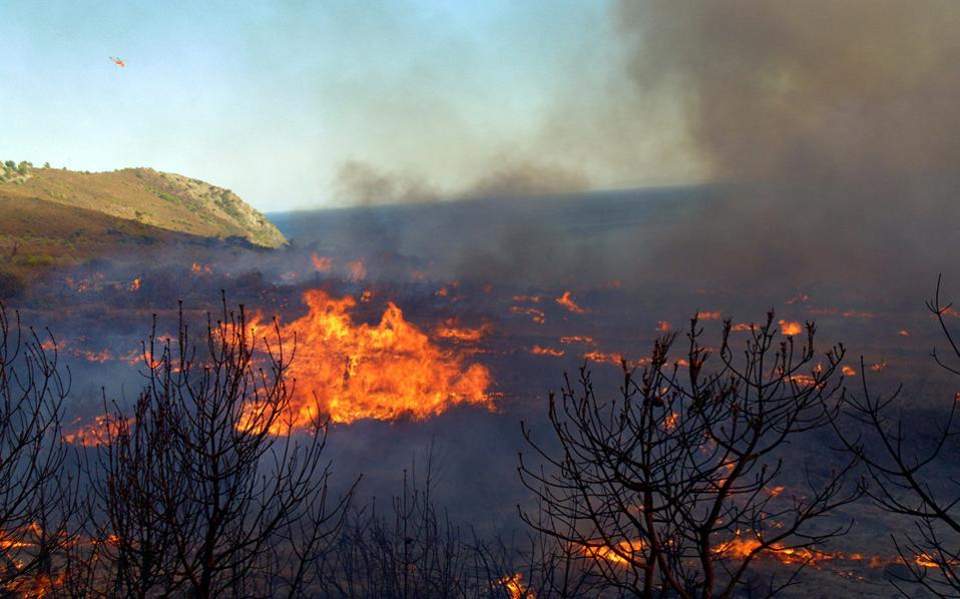 Firefighters battle blaze in pine forest in Dafni, western Attica