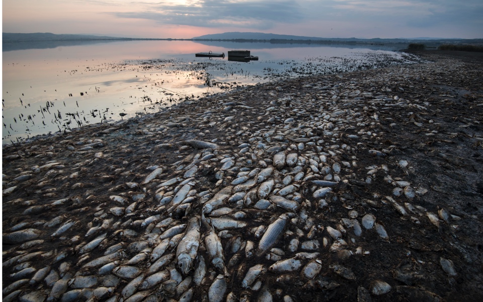 Drought-hit Lake Koroneia’s fish population hit