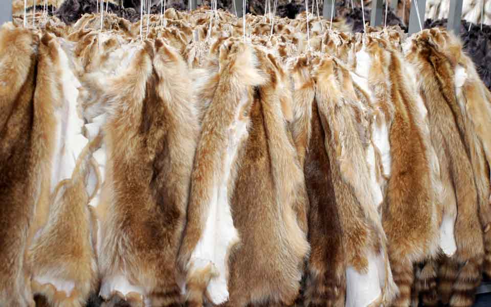 FinMin proposes abolition of luxury tax on fur, silver
