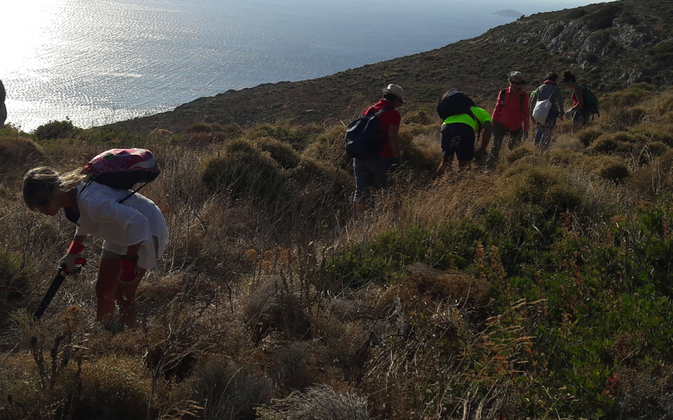 Volunteer hiking team clears island walking trails
