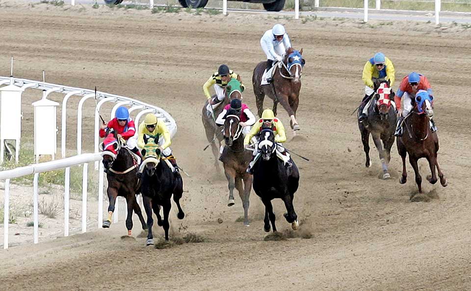 Horse races return to action this Sunday, aiming at ‘family days’