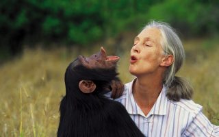 Jane Goodall | Athens | December 15