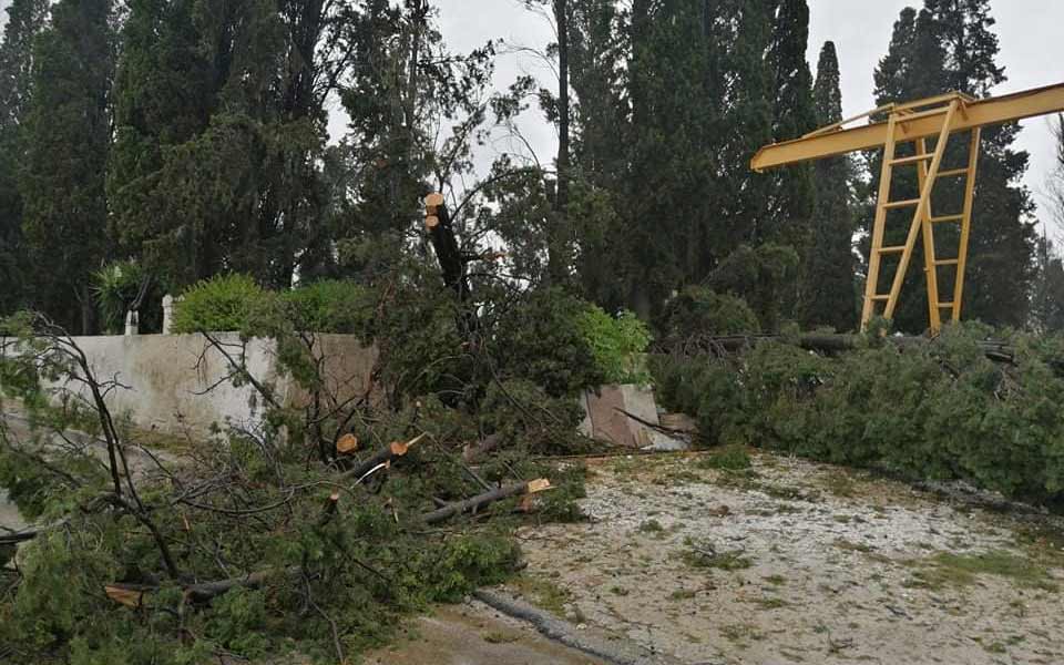 Tourist injured by fallen tree in western Peloponnese