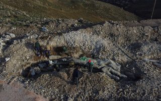 Scientists on Lesvos find 20 million year-old petrified tree