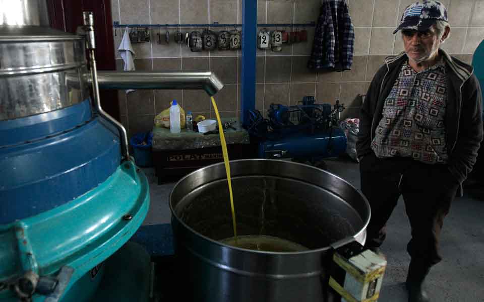 Inspectors target illegal olive oil production and trafficking