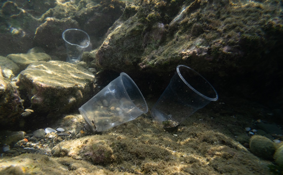 Disposable plastic items on the way out in 2021