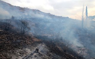 Wildfire in Athens suburb brought under control