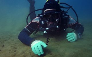 Divers spot endangered seahorses in polluted Aitoliko lagoon
