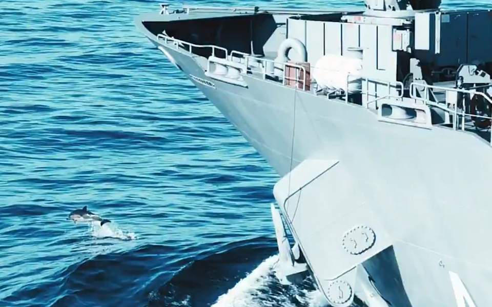 Turkey denies Aegean dolphin deaths linked to navy drill