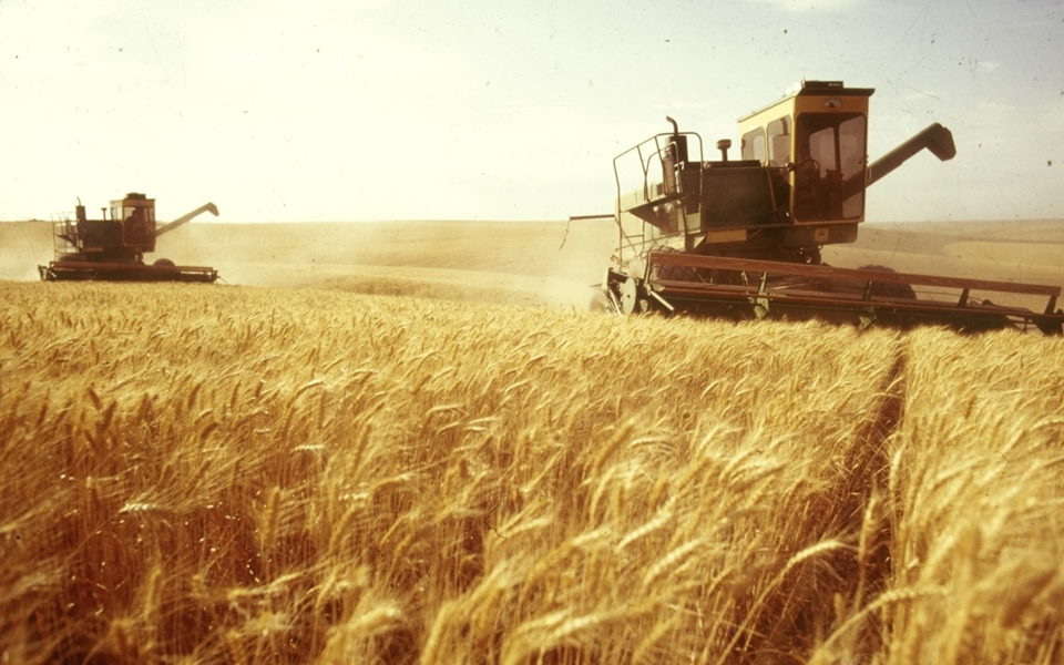 Romania lifts export restrictions on wheat, other food products