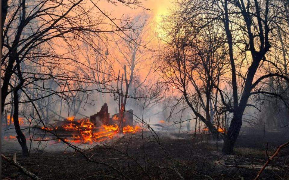 No radioactivity in Greece from recent Chernobyl forrest blaze