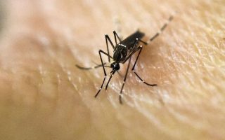 KEELPNO issues travel guidelines for Zika virus