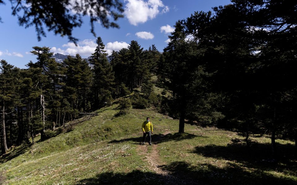 Εnvironmentalists fear windfarm scars on mountain forests