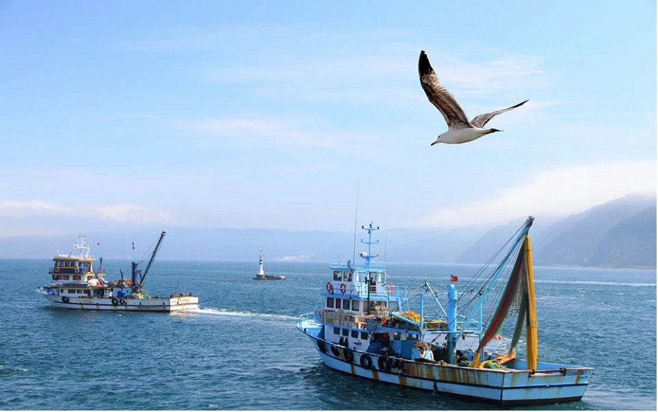 Turkish fishing boats enter Greek waters south of Gavdos