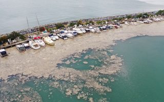 Turkish sea snot spreading in Marmara