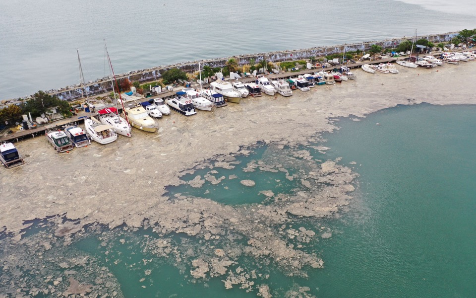 Turkish sea snot spreading in Marmara