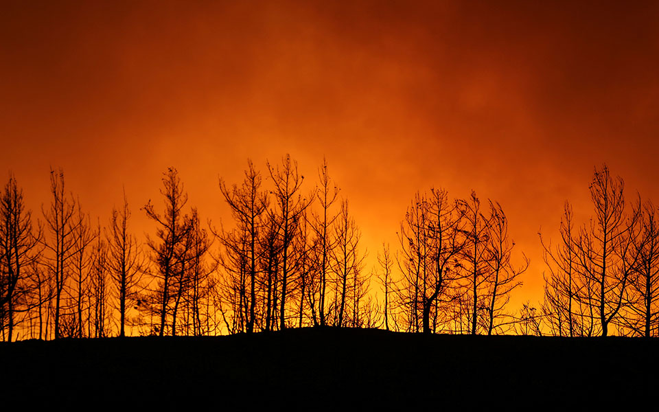 Ten worst fires destroyed 280,000 hectares in 20 years