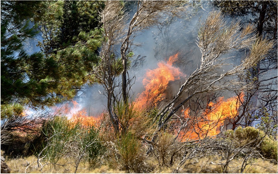 Fires in Varnavas, Elefsina in Attica; house burns down in Halkidiki