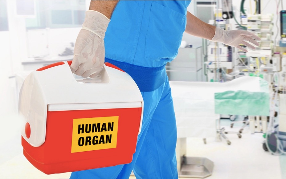 New study maps overhaul of organ transplant system