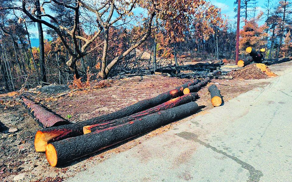 After fires, anti-flood works expedited 