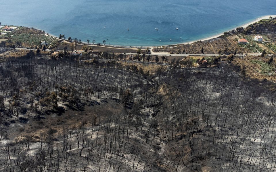 Greek wildfires wreak record destruction