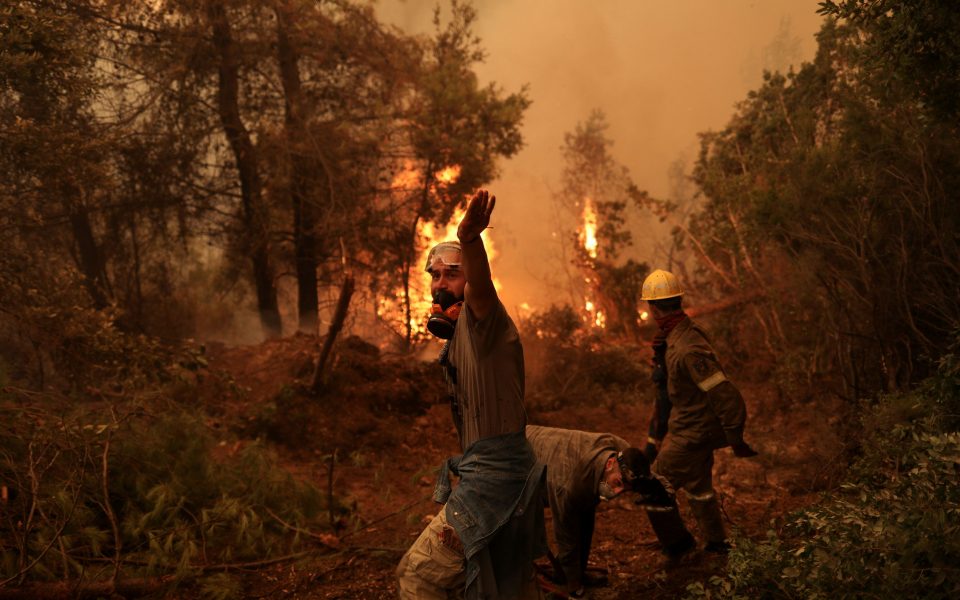Over 100,000 hectares burnt in two weeks