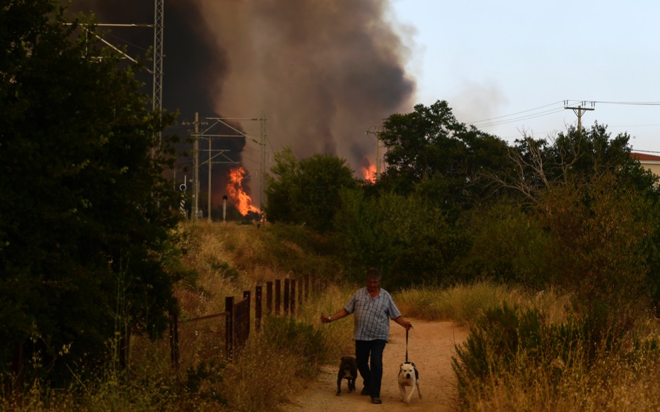 Hundreds flee homes as heatwave fuels Greek wildfire