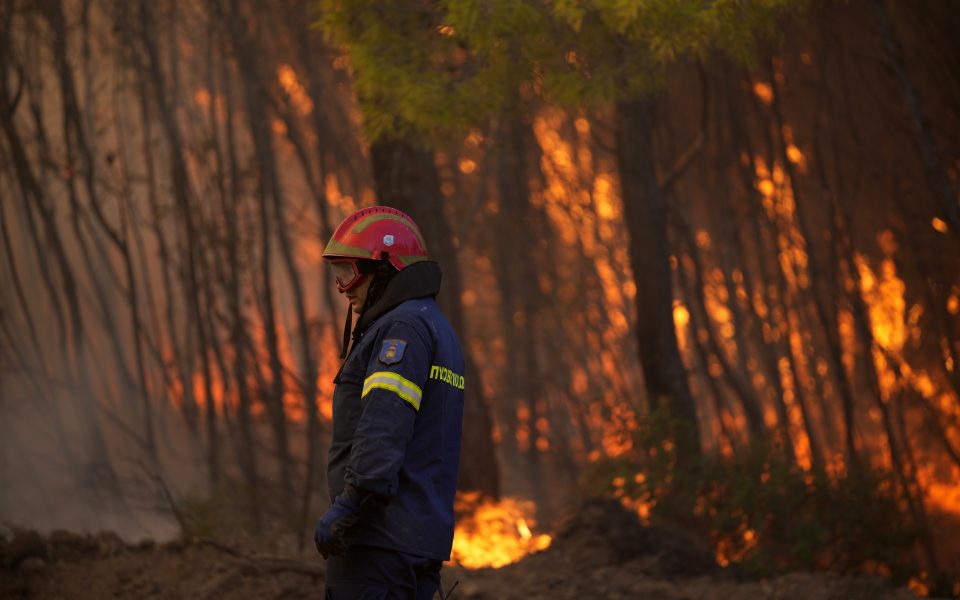 High-risk day for forest fires forecast