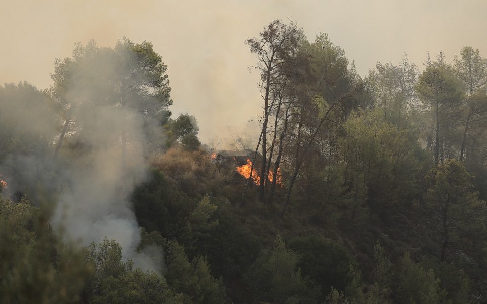 Cyprus sending firefighting help