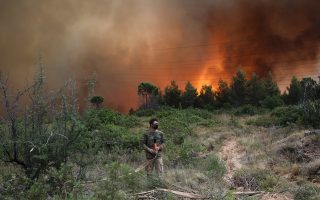 Greece grappling with 56 active fire fronts