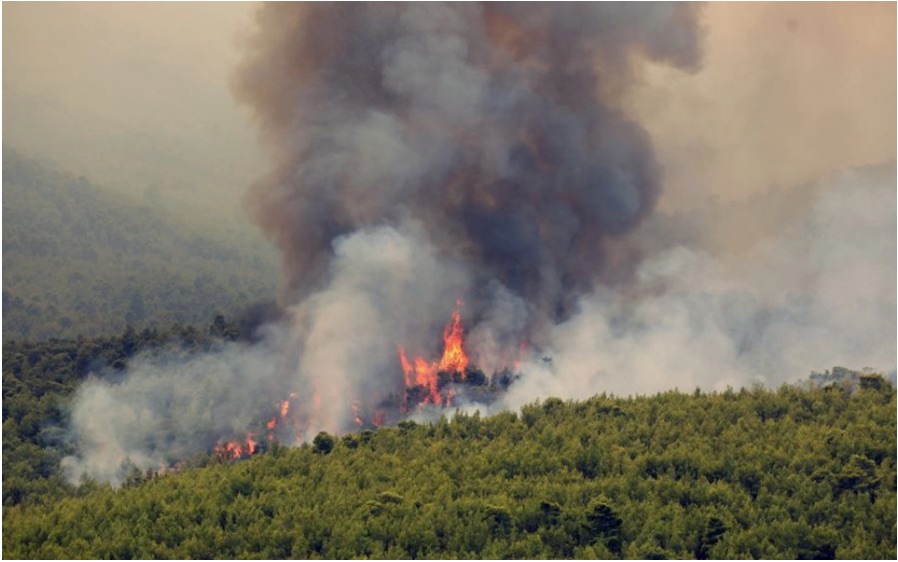 New fire breaks out in Evia, three settlements evacuated