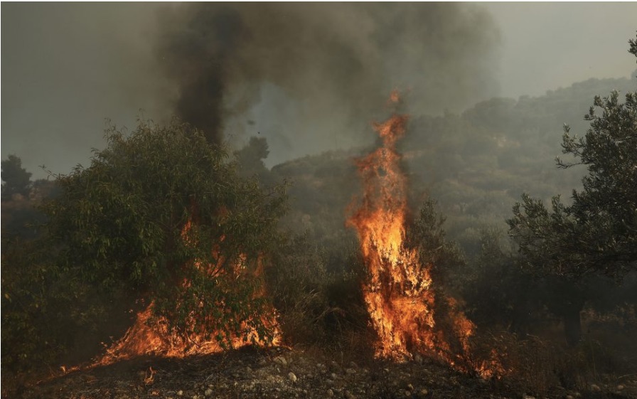 New fire breaks out in Vilia, as blaze in Evia still burns