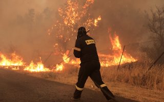 Record area burned by fires in Greece this year