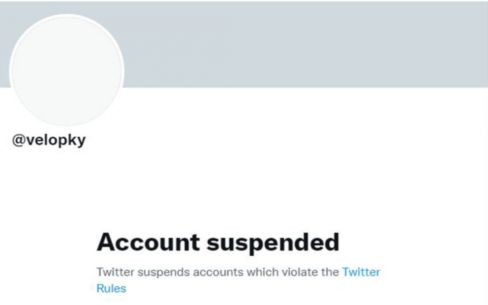 Twitter suspends party leader’s account
