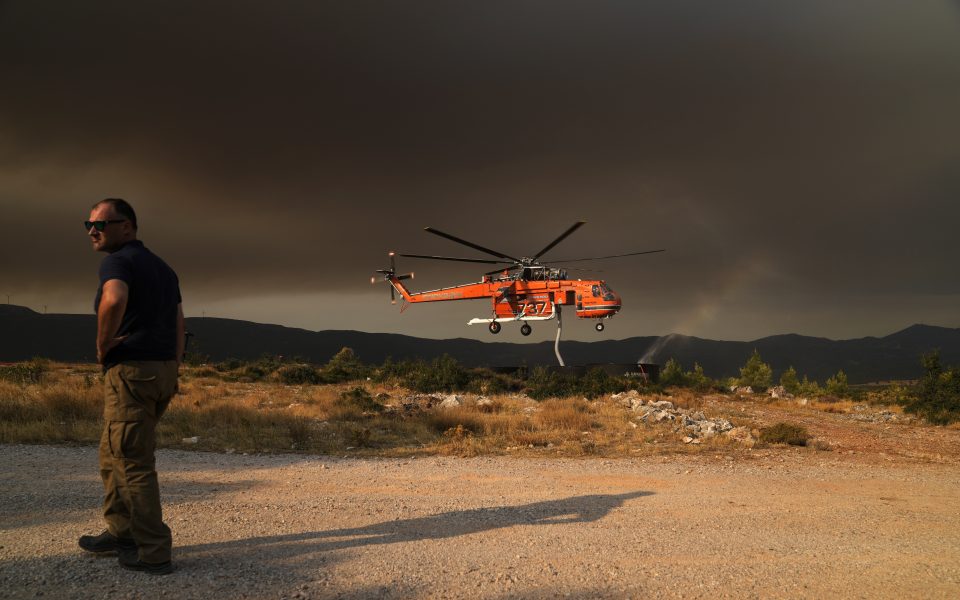 Firefighters battle growing forest blaze near Athens