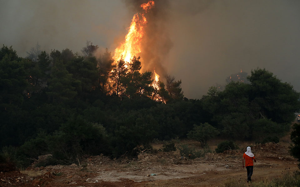 Greek wildfire burns through pine forest for 4th day