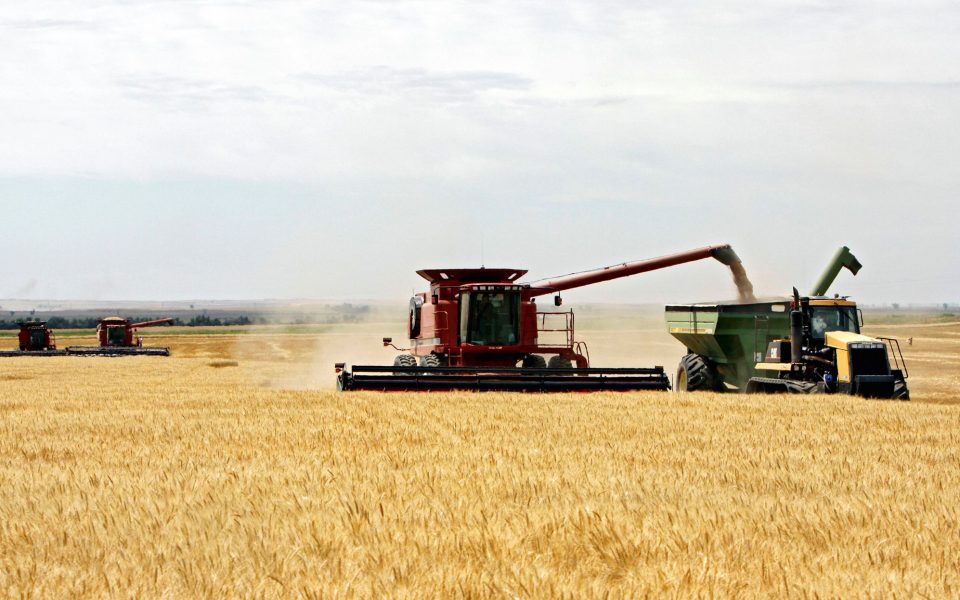 Greece’s needs in wheat, maize met by EU imports