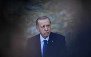 Joining ranks to take on Erdogan