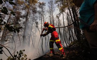 European firefighters to be repositioned in Greece in pilot project this summer
