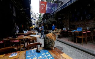feeding-the-fire-turkish-restaurants-to-raise-prices-to-cover-wage-jump